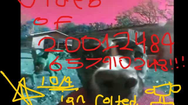 Pro Video Editing Skill 2009 Edition Educational