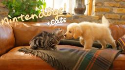 Nintendo 3DS Trailer - Nintendogs + Cats