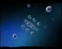 Pershiy diloviy (First Business) - Ident (2007-2008)
