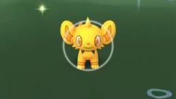 Pokémon GO-Shiny Shinx