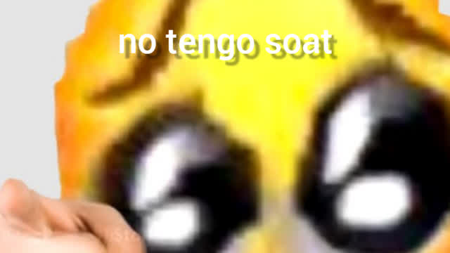 tu vieja no tiene soat