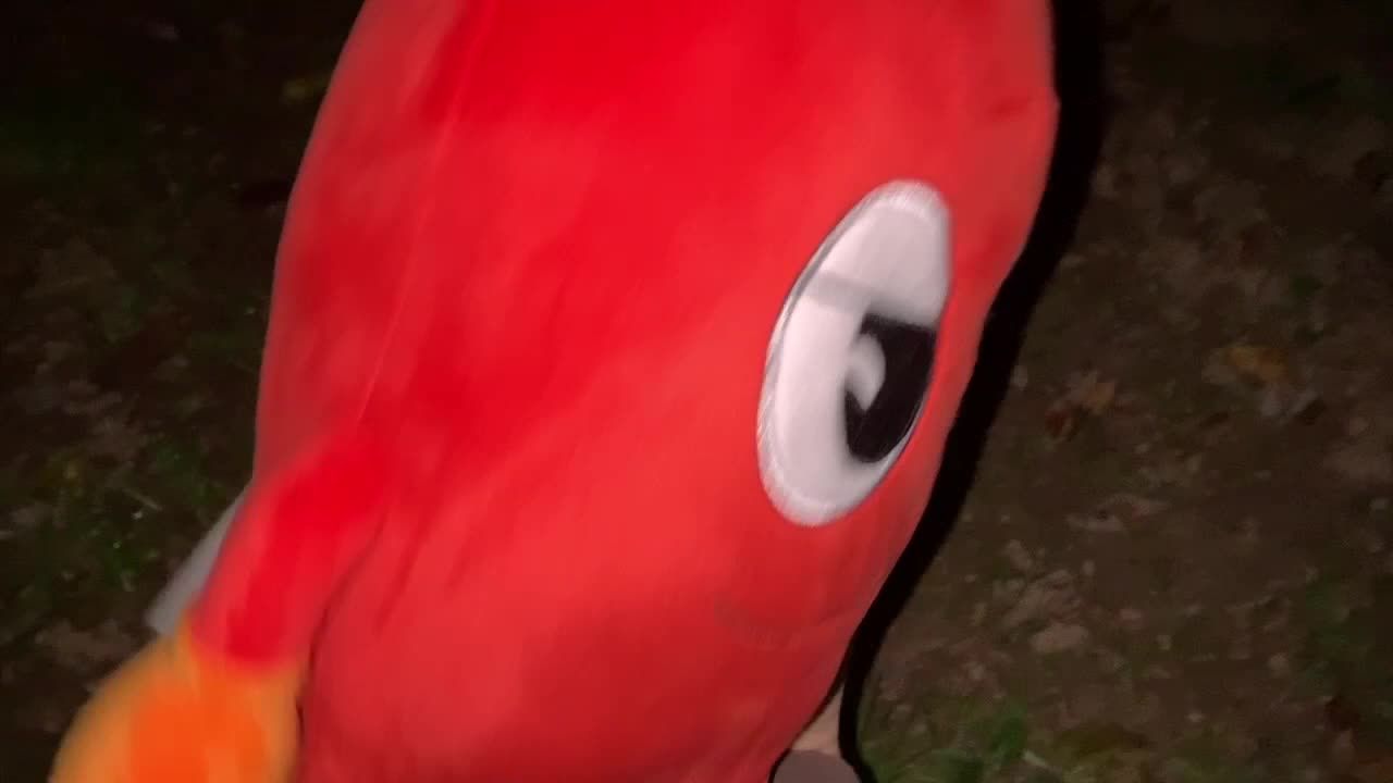 pac-man's halloween chase (10-22-2026)