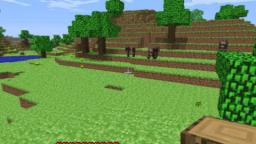 minecraft_test (2009)