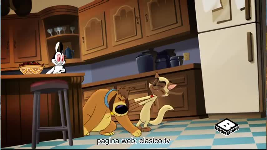 Bunnicula - T1 Episodio 23 (Español Latino)