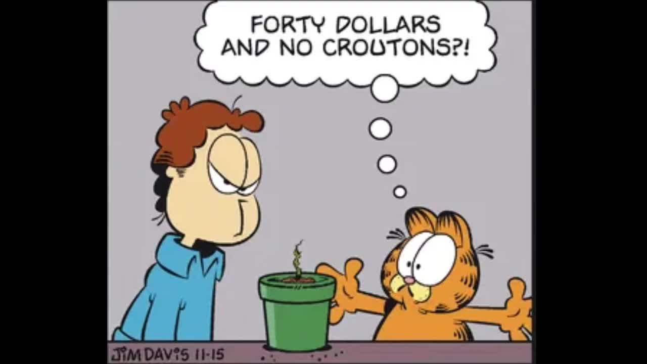2025_11_15 Garfield Comic Dub