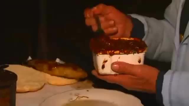 El Tio Aceite