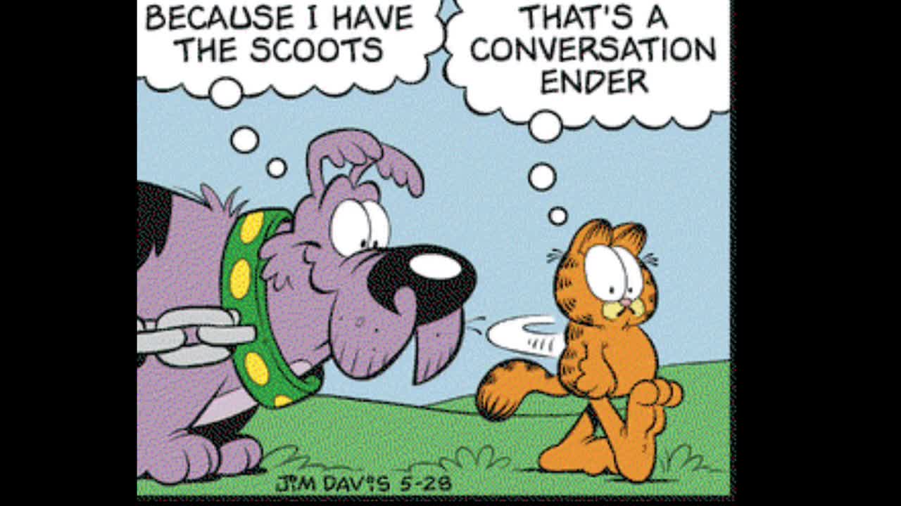 2025_05_28 Garfield Dub