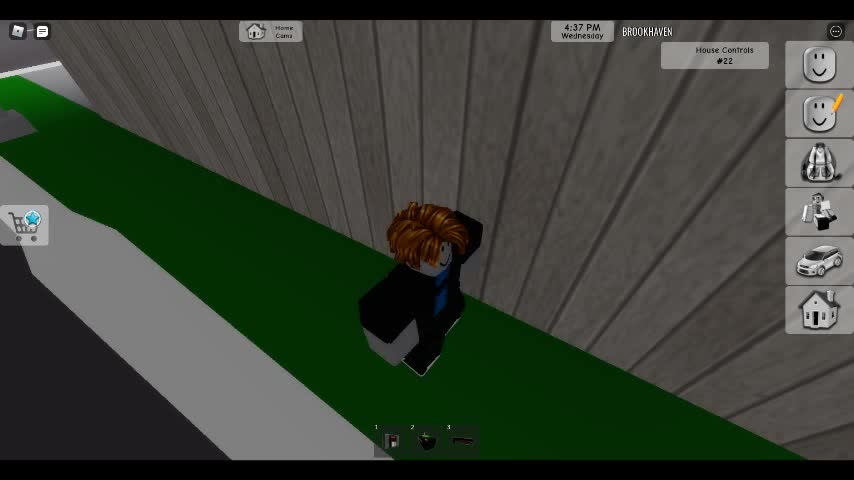robloxapp-20260501-1030487