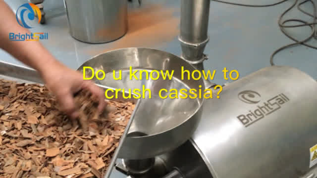 Do u know how to crush cassia? #CassiaMachine #CinnamonGrinder #mill
