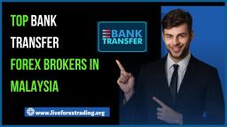 💸Top Bank Transfer Forex Brokers In Malaysia 2022 💸