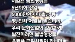 Opening to Hoodwinked 2006 South Korean VHS