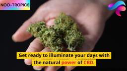 Illuminate Your Days with Cannaray Bright Days CBD Oil Drops - 500mg in 10ml