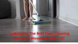 Leos Holland Floor Cleaning Company in Woodland Hills, CA