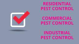 Global Rodent Pest Control Service in Bakersfield, CA