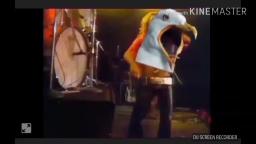 SHOCKING: Is David Lee Roth a Seagull?