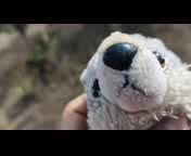 Me_Sali�_Mal_el_Campamento_d_Cumplea�os.3gp Me_Sali�_Mal_el_Campamento_d_Cumplea�os.3gp