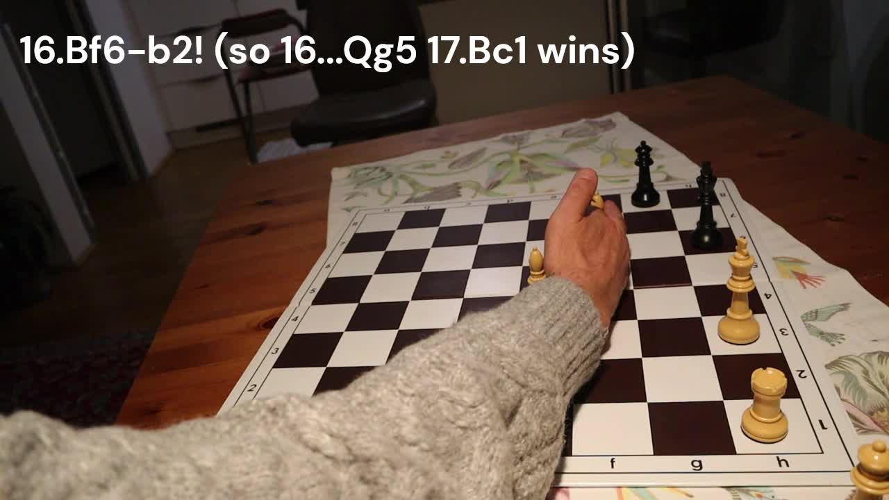 Simple chess study