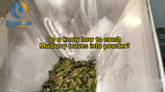 Do u know how to crush  Mulberry leaves into powder by air classifier mill?