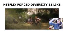 NETFLIX FORCED DIVERSITY BE LIKE: