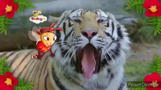 Baby Tv15 09 2015 17 28 00