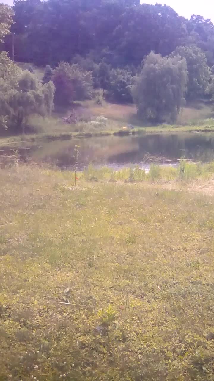 Pond jump