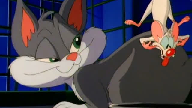 Pinky and the Cat (Italian Dub)