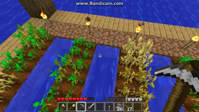 my minecraft world