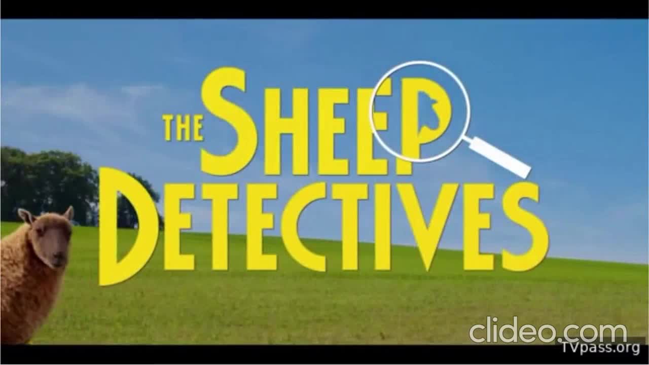 Cartoon Network Commercial Break Monday, May 4, 2026 (Part 1)