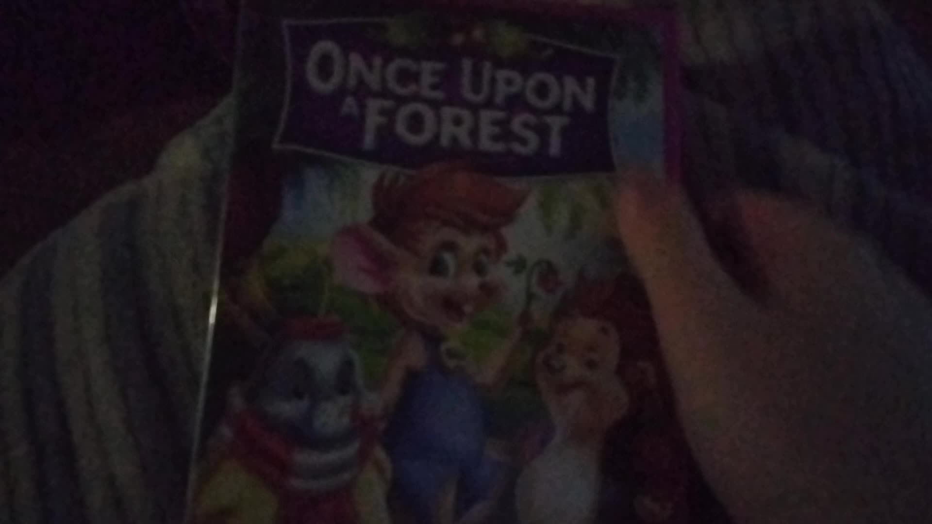 Once Upon a Forest 2004 DVD Review
