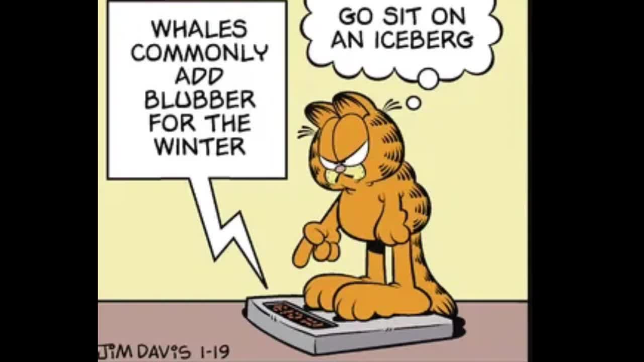 2026_01_19 Garfield Comic Dub (featuring Robosoft 3)