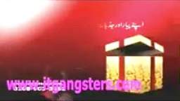 ARY News (UK) Adverts (Early 2011) Part 1