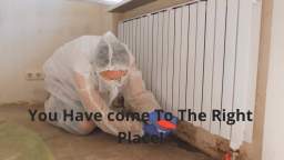 ALL US Mold Removal in Frisco TX