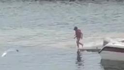 trim.42EF299A-334D-493C-85E2-67A5BB1FE89F trim.42EF299A-334D-493C-85E2-67A5BB1FE89F