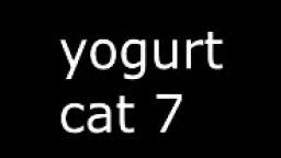 yogurt cat 7
