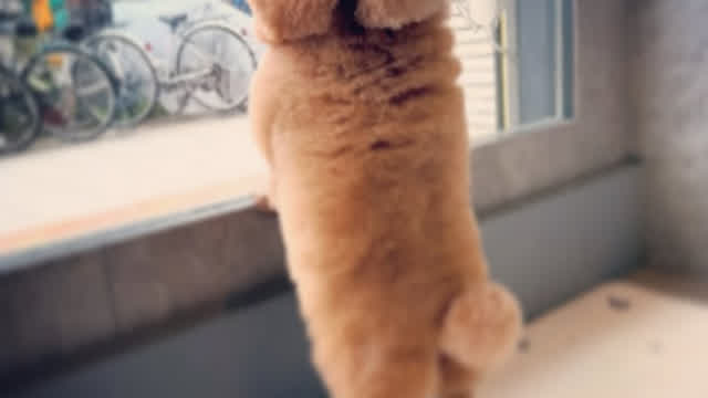 Argentina boy edit..