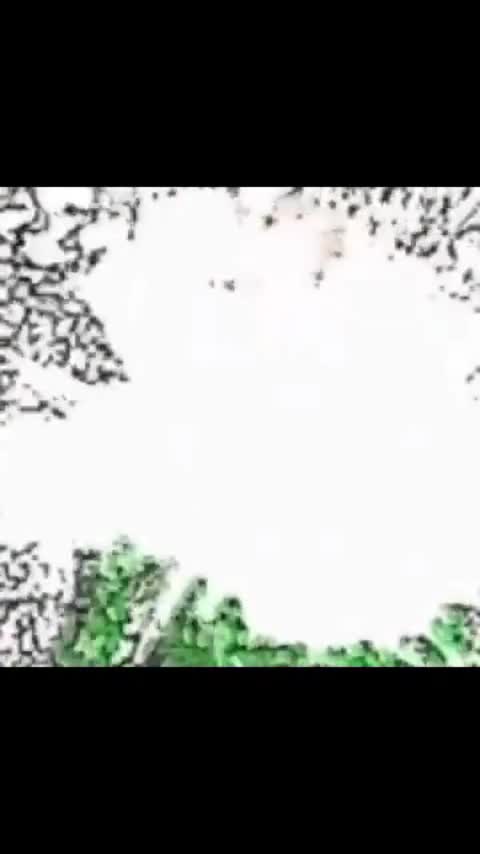 DAY_6