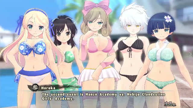 Senran Kagura Estival Versus - Day 2.2 - The Grand Grope-n-Grapple