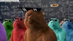 shuffling HAMSTER dance!!!!!111