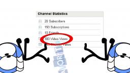 300 Video views