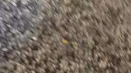lego plane go BOOM ! ! !8