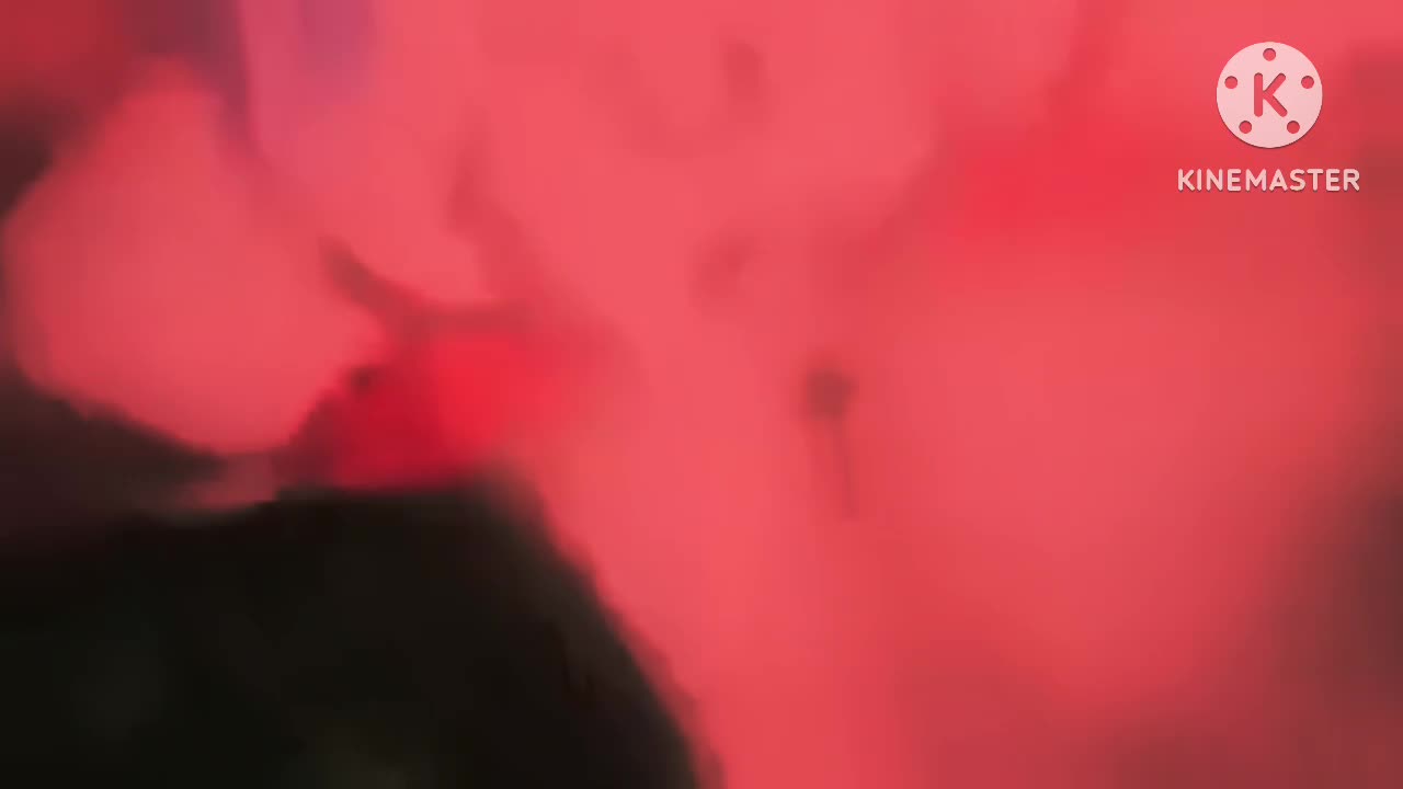 Wackiest Video (#19)