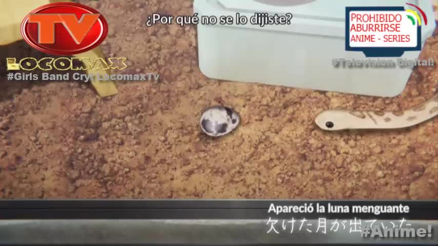 LocomaxTv Bolivia Anime Marzo 2026