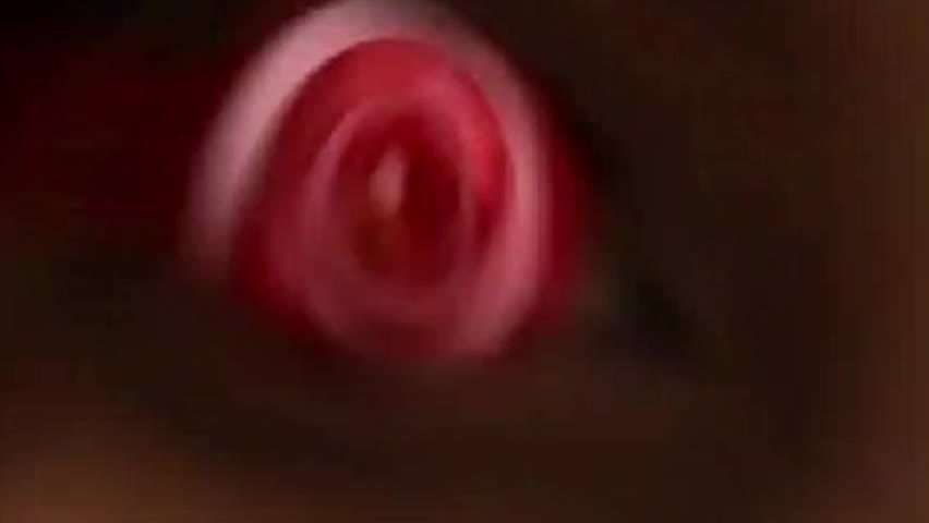 crazyeyes
