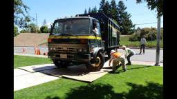 San Jose California Tree Removal - Bay Area Tree Specialists (408) 836-9147