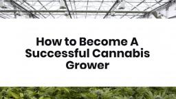 How_to_Become_A_Successful_Cannabis_Grower