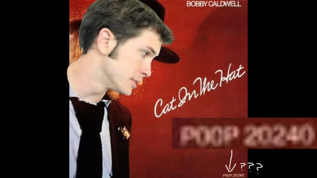 What You Won't Do for Tobuscus