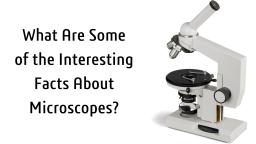 What Are Some of the Interesting Facts About Microscopes