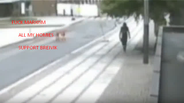 Based Breivik edit