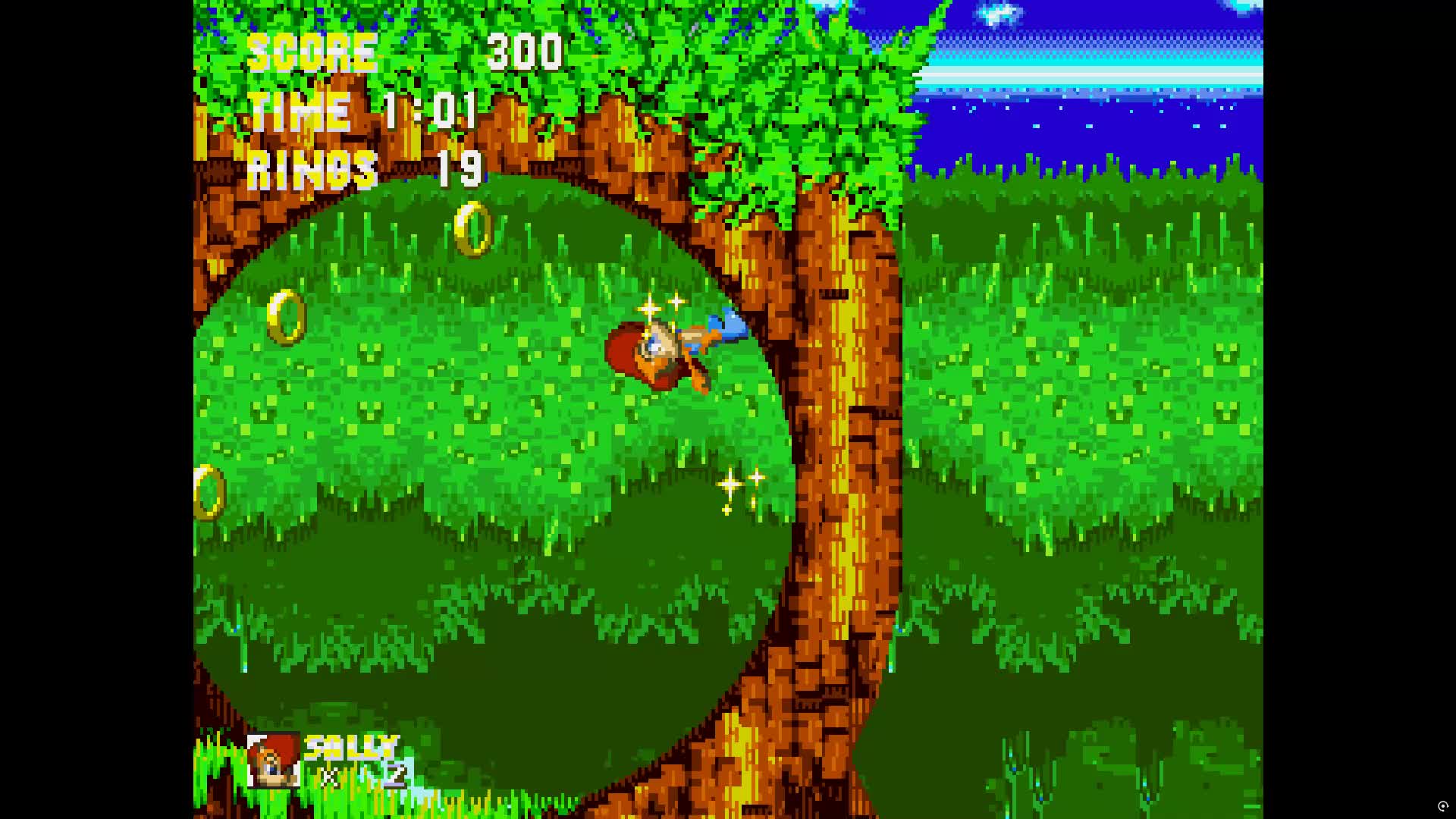 Saly in sonic and knuckles 3