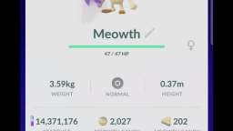 Pokémon GO-Shadow Meowth